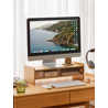 Inbox Zero Elevatepro Computer Stand | Wayfair