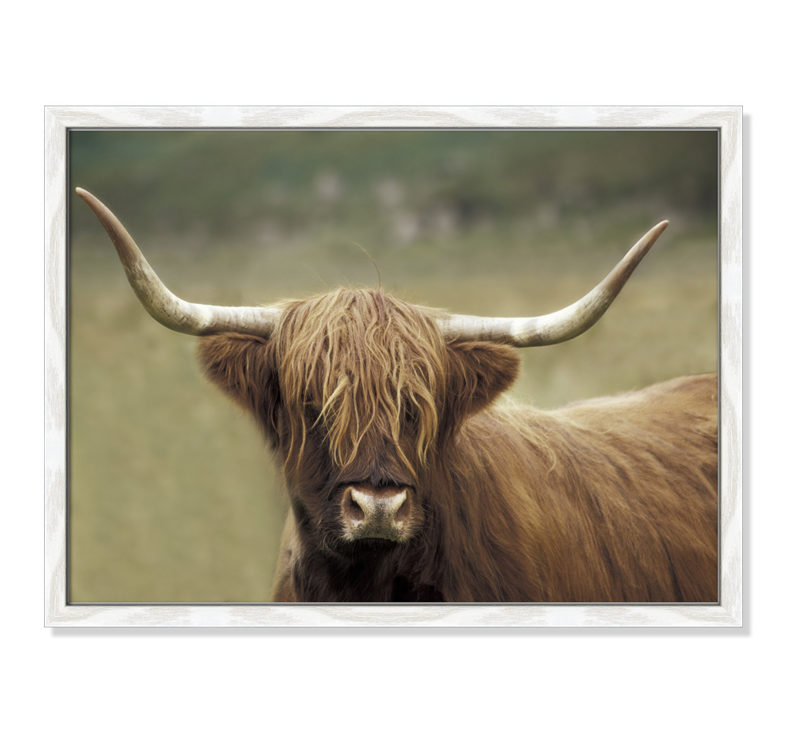 Frederic "Highland Afternoon" Print, 17" H x 23" W x 0.75" D, White Wood Grain Framed