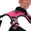Pet Carrier-1521727703