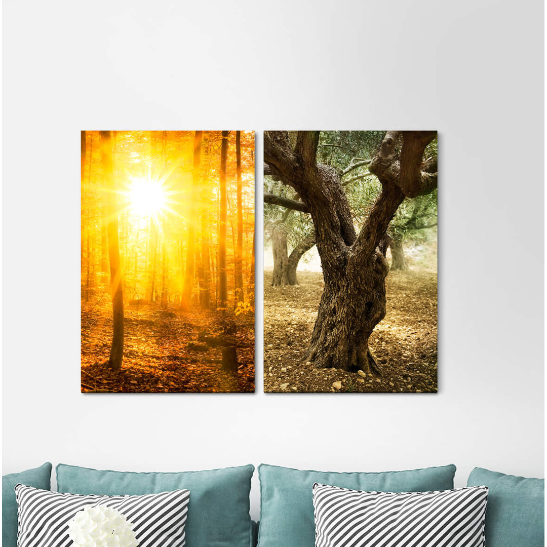 2-tlg. Leinwandbilder-Set - Fotografie „Autumn Forest Sunbeams Old Tree Warm Light Warmth Silence”