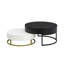 Tables basses gigognes modernes à plateau relevable avec 2 tiroirs blanc et noir