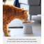 Bol pour animaux incliné Yamazaki Home, céramique, 6,7 oz-105805640
