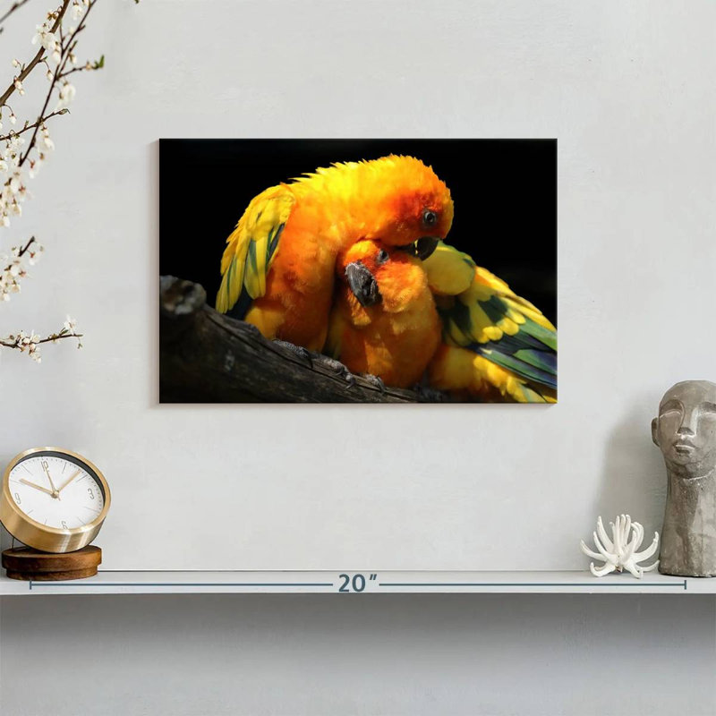 Crowle Perched Parrot Pair, 8" H x 12" W