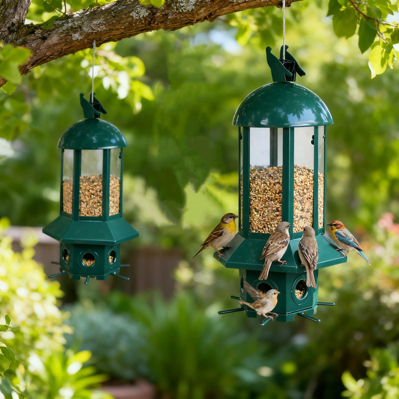 Mangeoire pour oiseaux à l'épreuve des écureuils avec perchoir activé par le poids, station d'alimentation en métal de grande capacité de 5,06 lb, résistante à la rouille et facile à remplir pour l'observation des oiseaux dans la cour