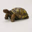 Statue de tortue de jardin
