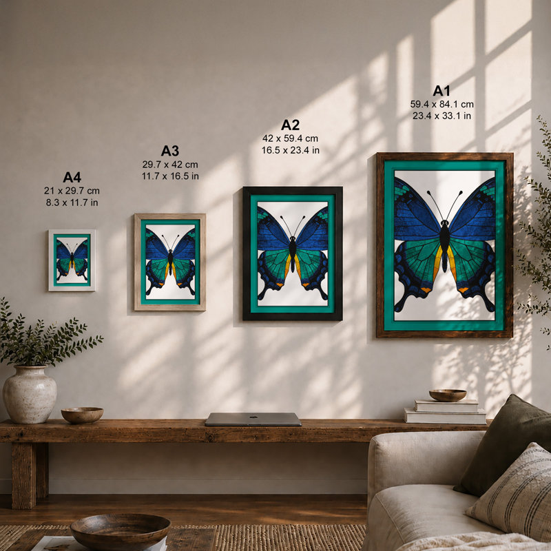 Blue Butterfly Specimen Botanical - Framed Print, Oak, A4 - 29.7 x 21.0 cm