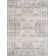 Oriental Indoor Rug