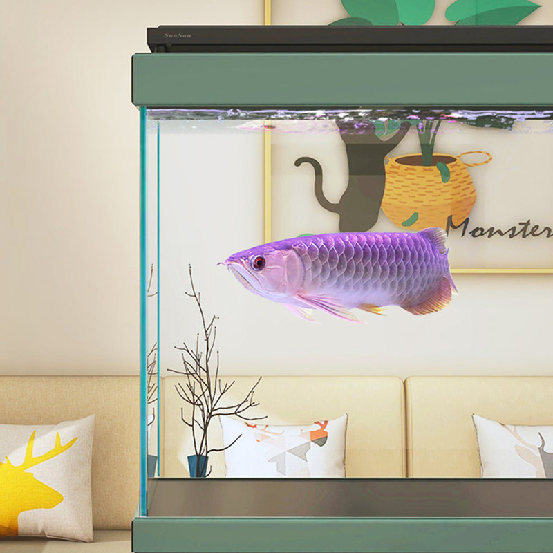Réservoir d'aquarium moderne en alliage d'aluminium 65 à 73 gallons, Vert
