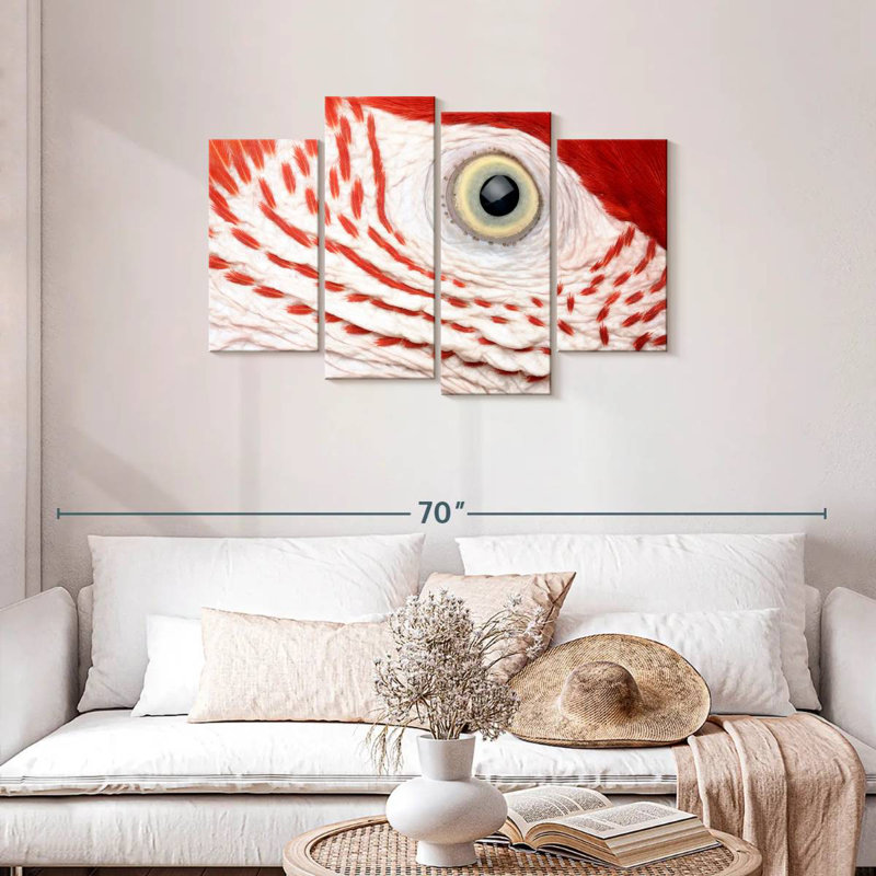Brampt Macaw Parrot Eye