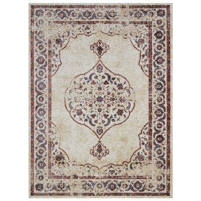 Oriental Indoor Rug