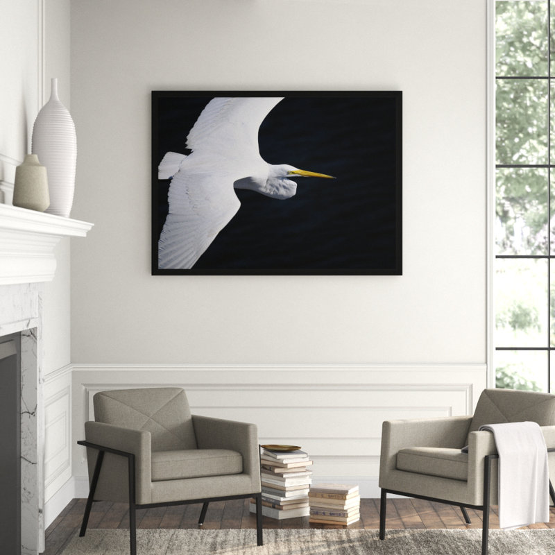 Gliding Egret' Framed Photographic Print on Glass