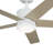 Brahm 48'' Ceiling Fan with LED Lights