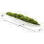 5" Artificial Moss Grass in Boat Tray