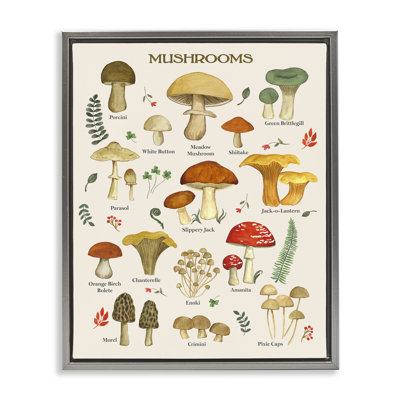 «August Grove® Forager Mushroom Study», art mural encadré sur toile flottante par Sharon Lee