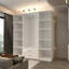 Manufactured Wood Wardrobe-209347913