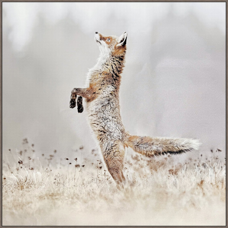 «Playful Hunter», art mural sur toile