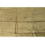Hand Knotted Area Rug in Clove
