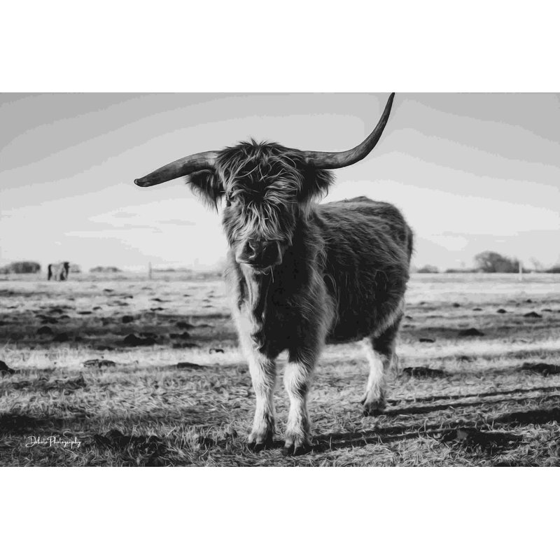 «Black and White Side Shot» par Dakota Diener - impression, Walnut Single Picture Framed, No, H 32 po x l 48 po