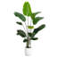 7Ft. Artificial Bird Of Paradise Tree With Resin Stone Planter
