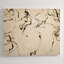 Scribbled Print by Chelsea Art Studio-25707119-25707114