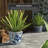 Handmade Ceramic Pot Planter