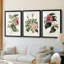 Mélange de fleurs roses I - impression encadrée sur mesure de qualité supérieure mate - 3 pièces-44061800-44061782