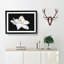 Blooming White Magnolia Painting - Single Picture Frame Print on MDF-56632589-56632590