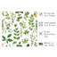«Botanical Plants & Herbs I Cottage», reproduction d'art non encadrée-422438175