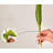 Arrangement de tulipes dans un vase
