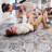 Area Rug For Entryway, Dining Room - 6X9, Non-Shedding, Stain , Multi Colored, - Room, Eat-In Kitchen-1900864558