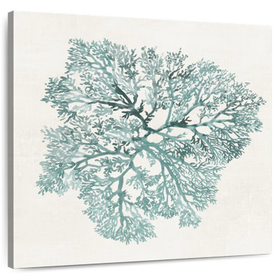 Corail Adeliza bleu sarcelle