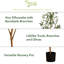 82'' Faux Olive Tree Tree in Planter