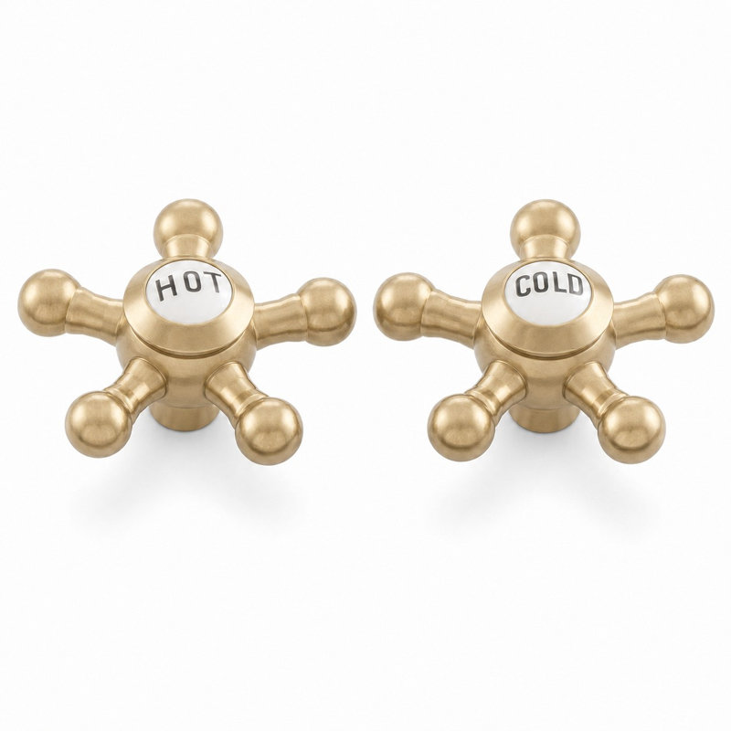 Paire de poignées à 5 rayons Strom Living P0475 avec boutons en porcelaine bronze huilé non laqué, Laiton brut non laqué