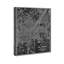 Los Angeles Map 1899 Gray - impression d'art graphique-905221477-905221476