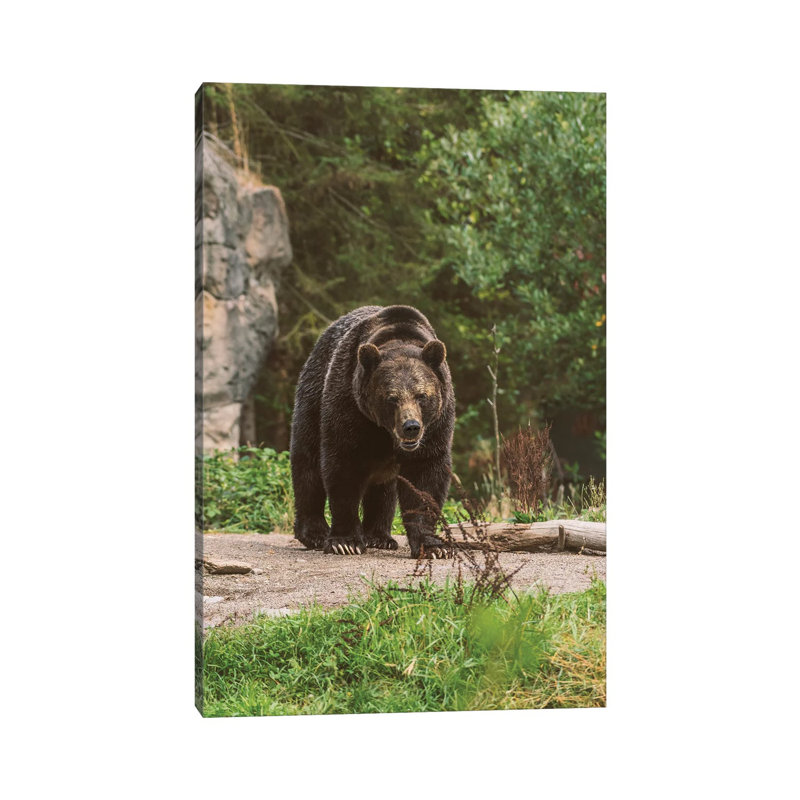 Max Load by Louis Ruth - Wrapped Canvas Print, 66.04cm H x 45.72cm W x 1.905cm D
