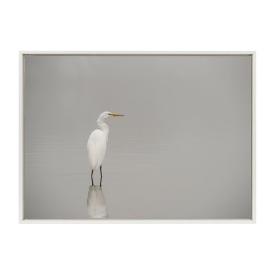 «Great White Egret» par Crystal Lynn Collins, reproduction d'art sur toile encadrée