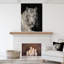Staring Bengal White Tiger - reproduction de photo sur toile-35105311-35105316