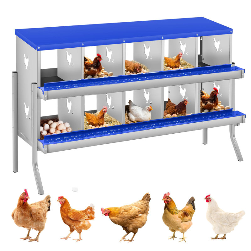 Boîte de nidification pour poulet à 10 compartiments, boîte à œufs en métal avec trous ventilés, bleu, Blue