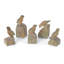 Song Bird Relics