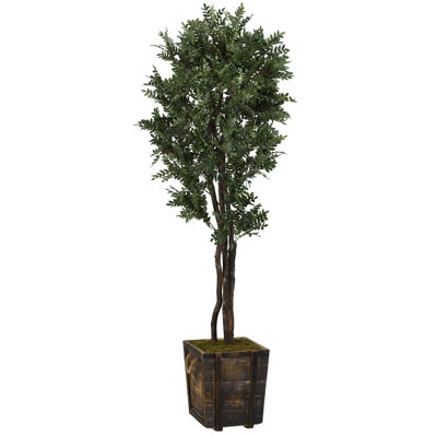 Faux Locust Tree in Solid Wood Planter