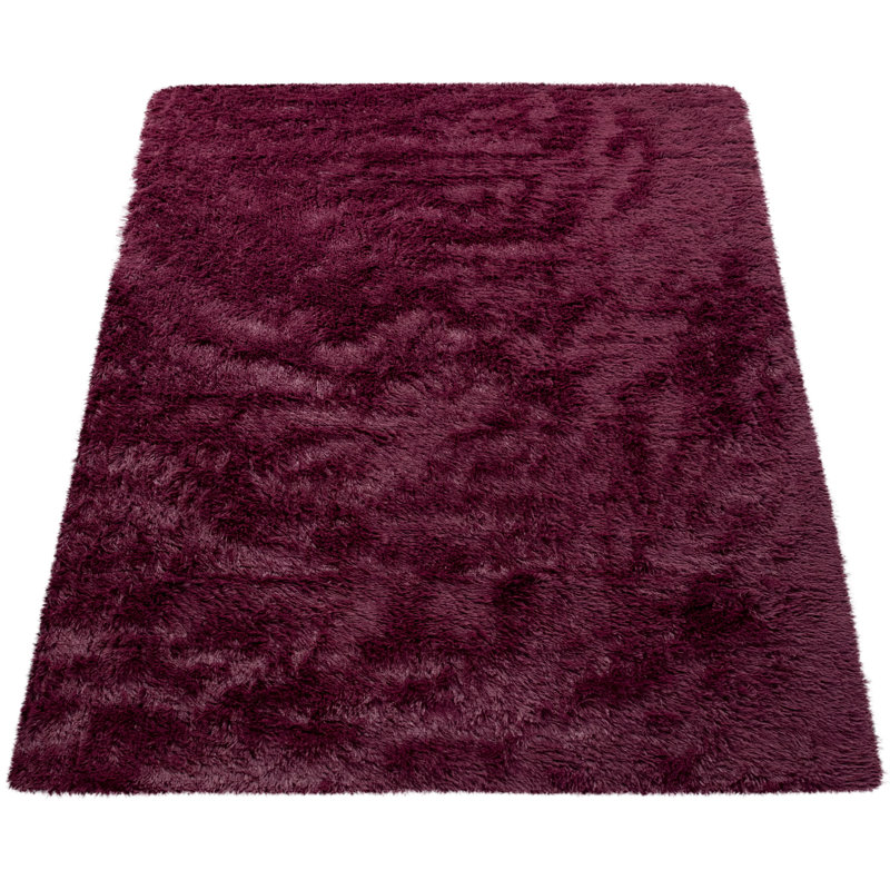 Tapis à poils longs en polyester Taraval, Rectangle 2 pi 8 po x 4 pi 11 po