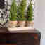 Photos des clients 1 de 1