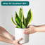 FLHPOT Ceramic Pot Planter-1957853583