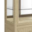 Eave Sundrenched Lighted China Cabinet
