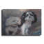 «Fuzzy Friends» par Robert Campbell-2073143591