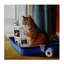Litière lisant un chat amusant par Lucia Heffernan - Peinture-1253144056-1253144061