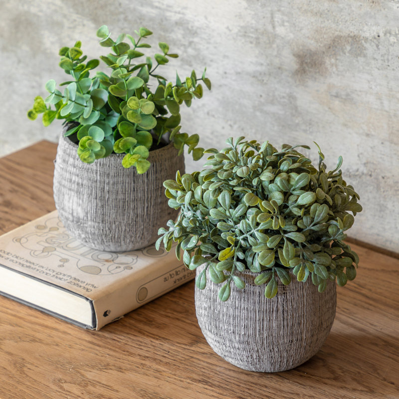 Potted Plant Ceramic Scratch Pots Sage