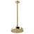 Brushed Brass selected