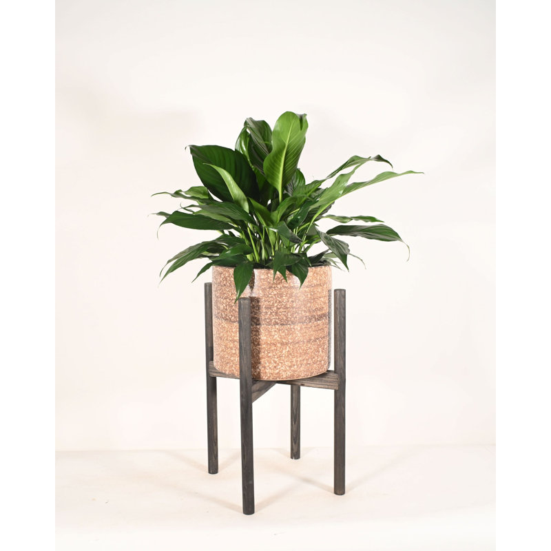 Pot à fleurs en céramique Heitzman, Ébène