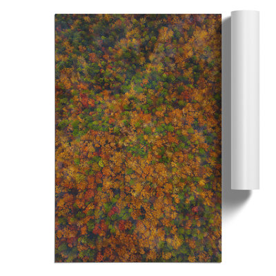 Thousands Of Trees - No Frame Print